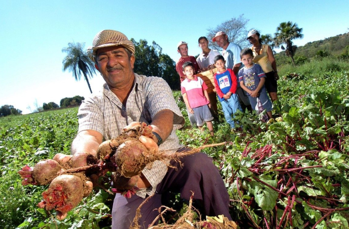 Número de brasileiros desnutridos diminuiu em 2,3 milhões de 2020 a 2023, diz ONU