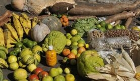 Mulheres ampliam participação no Programa de Aquisição de Alimentos