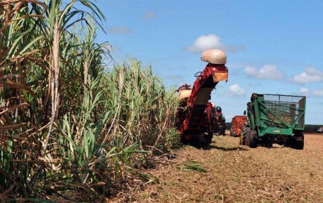 Com queda na agropecuária, PIB recua 0,1% no segundo trimestre do ano