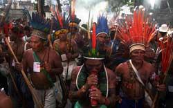 Fsm: Milhares De Cidadãos Vão Debater Futuro Da Amazônia E Da Crise Econômica